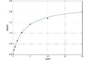 Adenosine A3 Receptor (ADORA3) ELISA Kit