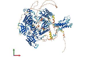 Protein Structure (PS) image for DNA Polymerase alpha (POLA1) (AA 1-1462) protein (His tag) (ABIN7553726)