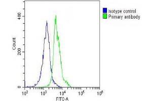 Overlay histogram showing THP-1 cells stained with (ABIN651940 and ABIN2840466) (green line). (VLDLR antibody  (AA 484-510))