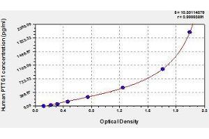 PTTG1 ELISA Kit