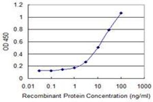 Detection limit for recombinant GST tagged SUSD5 is 0. (SUSD5 antibody  (AA 284-383))