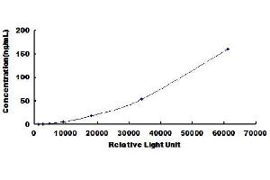 Transglutaminase 2 (C Polypeptide, Protein-Glutamine-gamma-Glutamyltransferase) (TGM2) CLIA Kit