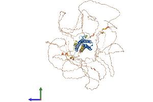 AlphaFold protein structure predicition of Mouse Recombinant Meioc Protein, UniprotID A2AG06