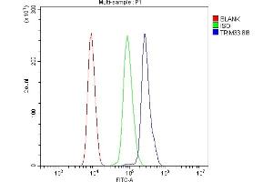Flow Cytometry analysis of HL-60 cells using anti- TIF1 gamma/TRIM33 antibody (ABIN7599621). (TRIM33 antibody  (AA 1001-1127))
