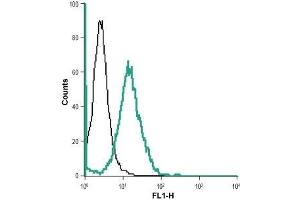 Cell surface detection of BAI1 in live intact human HL-60 promyelocytic leukemia cell line: (black line) Unstained cells + goat-anti-rabbit-AlexaFluor-488 secondary antibody.
