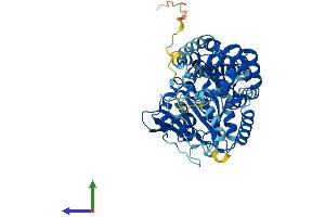 Protein Structure (PS) image for EH-Domain Containing 3 (EHD3) (AA 1-535) protein (His tag) (ABIN7553767)
