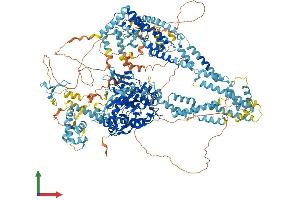 Protein Structure (PS) image for Lysine (K)-Specific Demethylase 5C (KDM5C) (AA 1-1560) protein (His tag) (ABIN7554361)