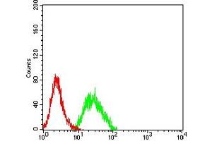 Flow cytometric analysis of CD307E cells using CD307E mouse mAb (green) and negative control (red). (FCRL5 antibody  (AA 16-158))
