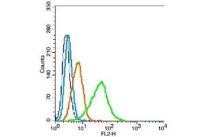 Hela probed with Nitrotyrosine Polyclonal Antibody, Unconjugated  at 1:100 for 30 minutes followed by incubation with a conjugated secondary (PE Cpnjugated) (green) for 30 minutes compared to control cells (blue), secondary only (light blue) and isotype control (orange). (Nitrotyrosine antibody)