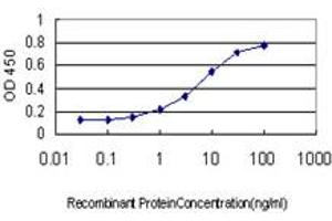 Detection limit for recombinant GST tagged BVES is approximately 0. (BVES antibody  (AA 262-360))
