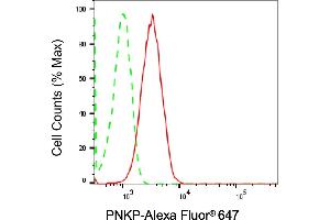 Flow cytometric analysis of PNKP expression in HT- cells using PNKP antibody (ABIN7799880), 1:2,000). (Recombinant PNKP antibody)