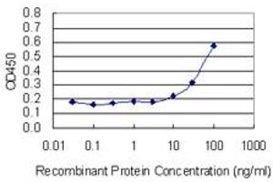 Detection limit for recombinant GST tagged VPS33B is 3 ng/ml as a capture antibody. (VPS33B antibody  (AA 1-100))