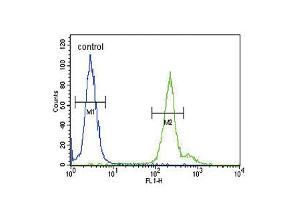 Flow cytometric analysis of 293 cells (right histogram) compared to a negative control cell (left histogram). (GPM6A antibody  (C-Term))