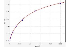 LAMC3 ELISA Kit