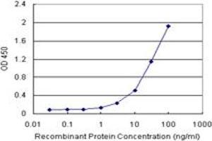 Sandwich ELISA detection sensitivity ranging from 1 ng/mL to 100 ng/mL. (T (Human) Matched Antibody Pair)