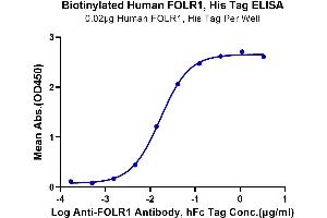 ELISA image for Folate Receptor 1 (Adult) (FOLR1) (AA 25-233) protein (His-Avi Tag,Biotin) (ABIN7274668)