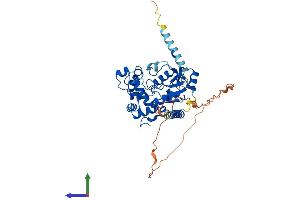 AlphaFold protein structure predicition of Mouse Recombinant Chst8 Protein, UniprotID Q8BQ86