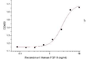 Measured in a cell proliferation assay using Balb/3T3 mouse embryonic fibroblast cells. (FGF9 Protein)