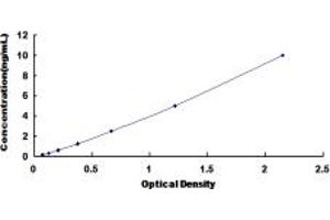 Typical standard curve (CHRNB2 ELISA Kit)