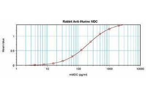 Image no. 3 for anti-Chemokine (C-C Motif) Ligand 22 (CCL22) antibody (ABIN464841) (CCL22 antibody)
