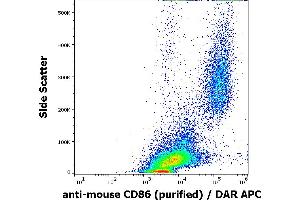 Flow cytometry surface staining pattern of murine peritoneal fluid cells suspension stained using anti-mouse CD86 (GL-1) purified antibody (concentration in sample 0,6 μg/mL) DAR APC. (CD86 antibody)