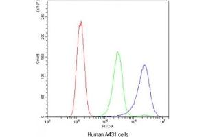 Flow Cytometry (FACS) image for anti-BCL2-Interacting Killer (Apoptosis-Inducing) (BIK) (AA 1-123) antibody (ABIN4950330)