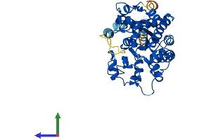 AlphaFold protein structure predicition of Mouse Recombinant Chst4 Protein, UniprotID Q9R1I1 (CHST4 Protein (AA 1-388) (His tag))