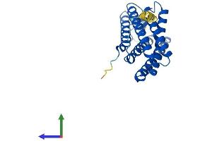 AlphaFold protein structure predicition of Human Recombinant TMEM150C Protein, UniprotID B9EJG8