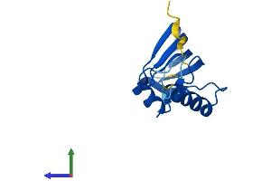 AlphaFold protein structure predicition of Mouse Recombinant Lsm10 Protein, UniprotID Q8QZX5 (LSM10 Protein (AA 1-122) (His tag))