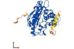 AlphaFold protein structure predicition of Mouse Recombinant Cnot8 Protein, UniprotID Q9D8X5 (CNOT8 Protein (AA 1-292) (His tag))
