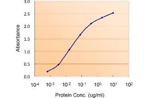 Sandwich ELISA using the DGAT2 antibody at 0. (DGAT2 antibody)