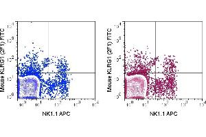 KLRG1 antibody  (FITC)