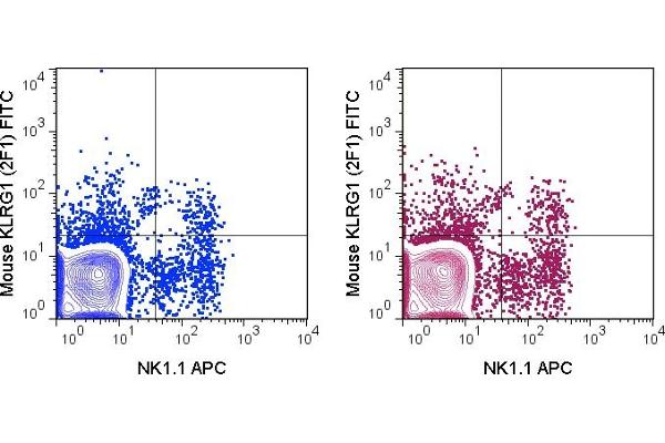 KLRG1 antibody  (FITC)
