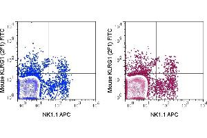 C57Bl/6 splenocytes were stained with APC Anti-Mouse NK1. (KLRG1 antibody  (FITC))
