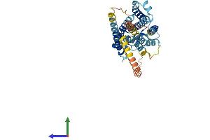 Protein Structure (PS) image for Prostaglandin E Receptor 2 (Subtype EP2), 53kDa (PTGER2) (AA 1-358) protein (His tag) (ABIN7550626)