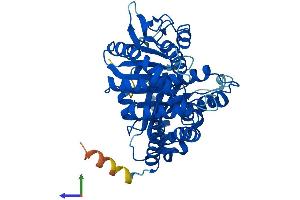 Protein Structure (PS) image for Tubulin beta 4a (TUBB4A) (AA 1-444) protein (His tag) (ABIN7544290)