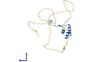 AlphaFold protein structure predicition of Human Recombinant ISX Protein, UniprotID Q2M1V0