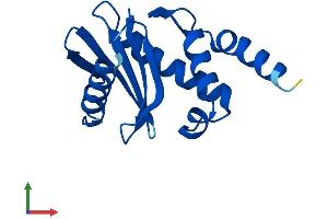 Protein Structure (PS) image for Adaptor Related Protein Complex 4 sigma 1 (AP4s1) (AA 1-144) protein (His tag) (ABIN7552097)