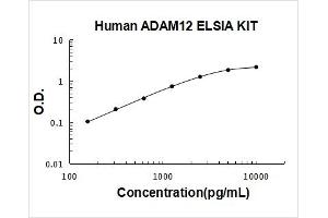 ADAM Metallopeptidase Domain 12 (ADAM12) ELISA Kit