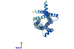 AlphaFold protein structure predicition of Human Recombinant TAS2R13 Protein, UniprotID Q9NYV9 (TAS2R13 Protein (AA 1-303) (His tag))