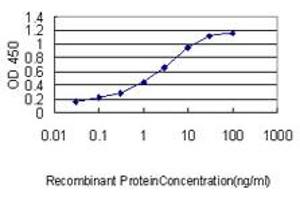 Detection limit for recombinant GST tagged SLA2 is approximately 0. (SLAP2 antibody  (AA 1-261))