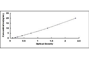 Typical standard curve (Fibulin 1 ELISA Kit)