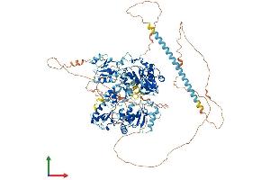 AlphaFold protein structure predicition of Human Recombinant PAXIP1 Protein, UniprotID Q6ZW49 (PAXIP1 Protein (AA 1-1069) (His tag))