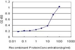 Detection limit for recombinant GST tagged CAMK2A is approximately 0. (CAMK2A antibody  (AA 305-410))