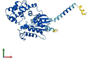 AlphaFold protein structure predicition of Mouse Recombinant Gna11 Protein, UniprotID P21278