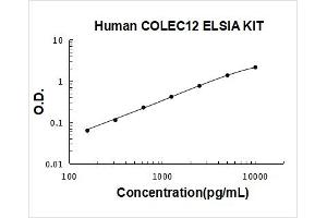 Typical Standard Curve