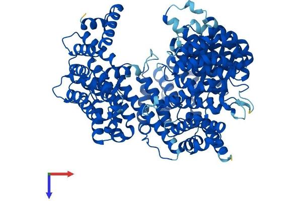 KPNB1 Protein (AA 1-876) (His tag)