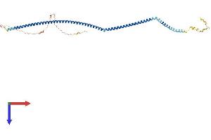 AlphaFold protein structure predicition of Human Recombinant C20orf96 Protein, UniprotID Q9NUD7