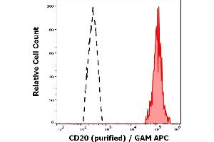 Separation of human CD20 positive lymphocytes (red-filled) from neutrofil granulocytes (black-dashed) in flow cytometry analysis (surface staining) of peripheral whole blood stained using anti-human CD20 (2H7) purified antibody (concentration in sample 0,6 μg/mL, GAM APC). (CD20 antibody)