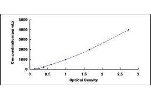 Hexokinase 1 ELISA Kit